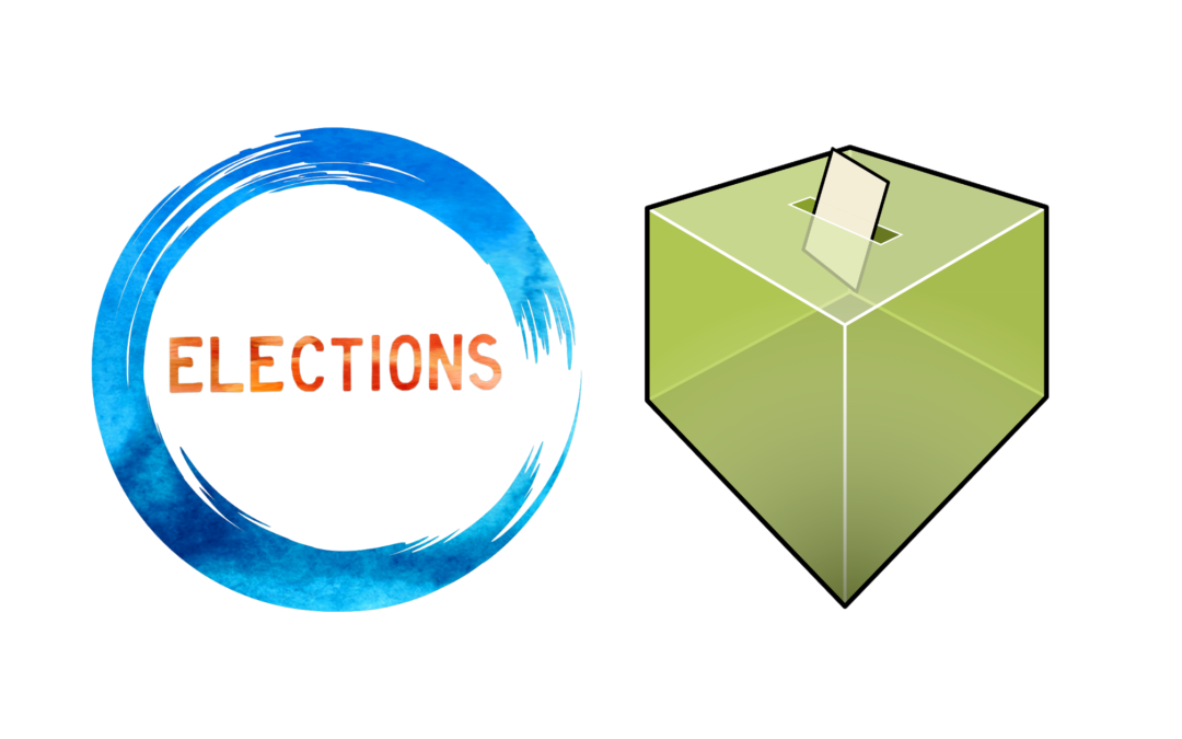 Elections au CSE central, vote électronique