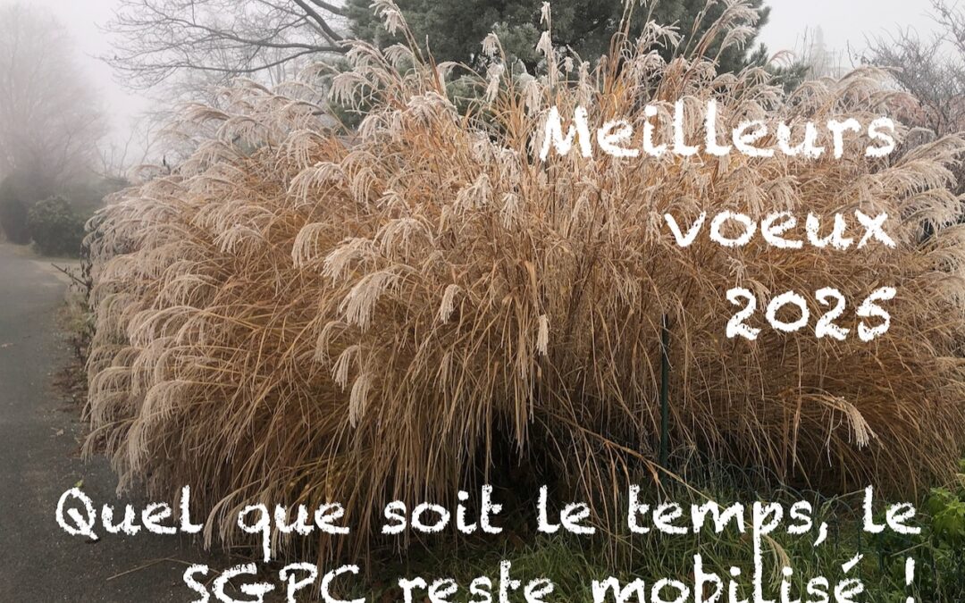 Voeux 2025 ! Plus que jamais restons mobilisés !