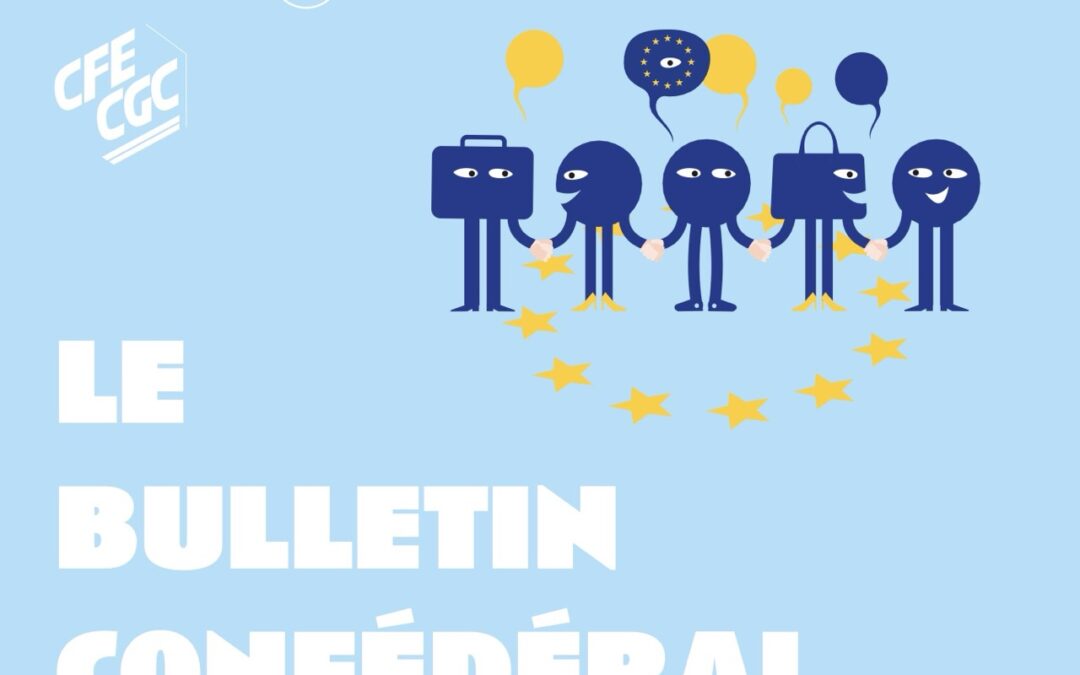 Les enjeux des C.S.E. européens